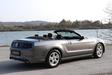 Ford Mustang Cabrio 2013