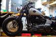 Harley-Davidson Cross Bones Custom 2009